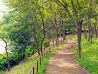 南山公園