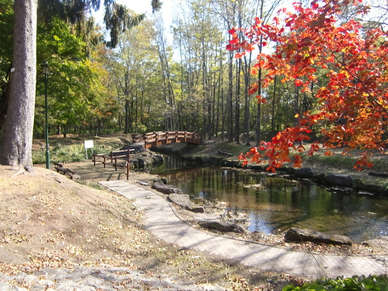 津田公園