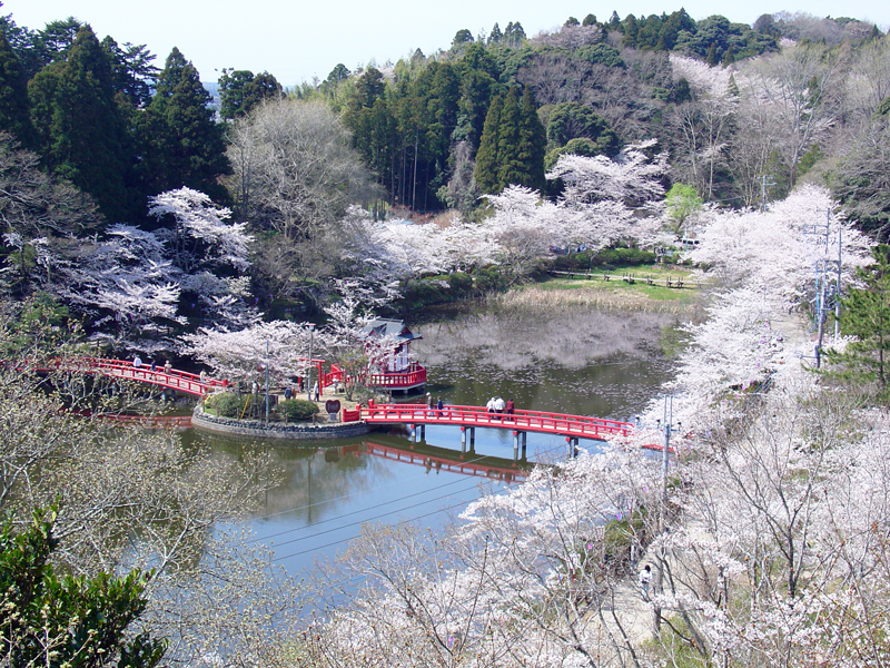 茂原公園