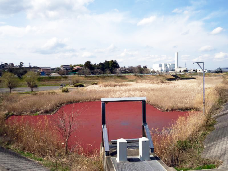 鶴枝遊水公園