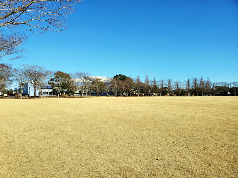 旭スポーツの森公園