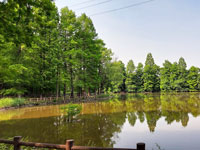 柏ビレジ水辺公園