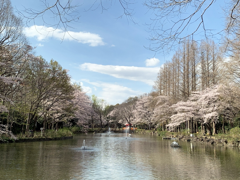 貝柄山公園