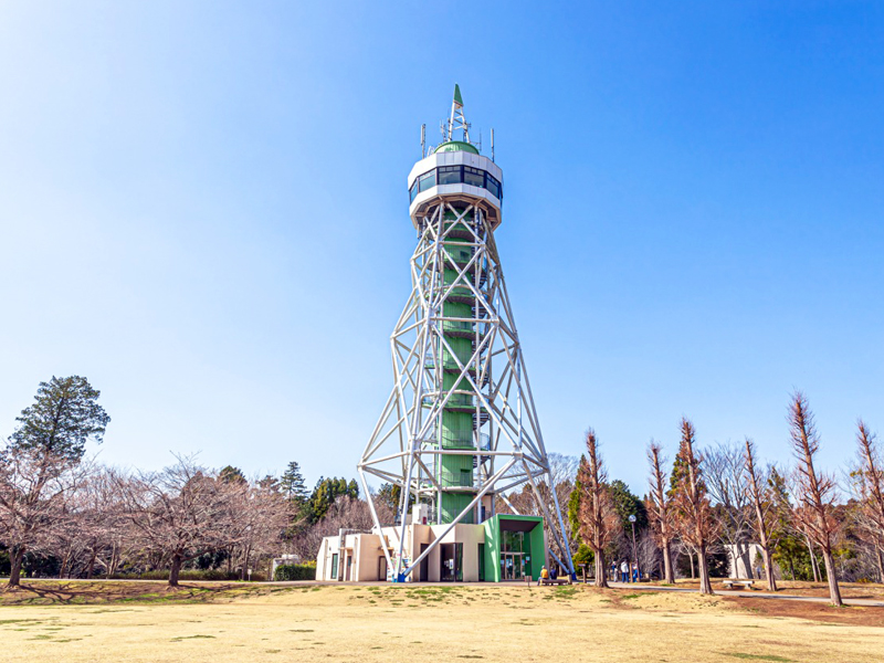 さんぶの森公園