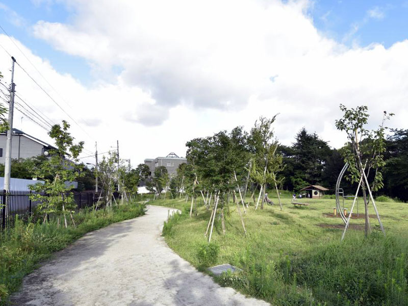 おとめ山公園