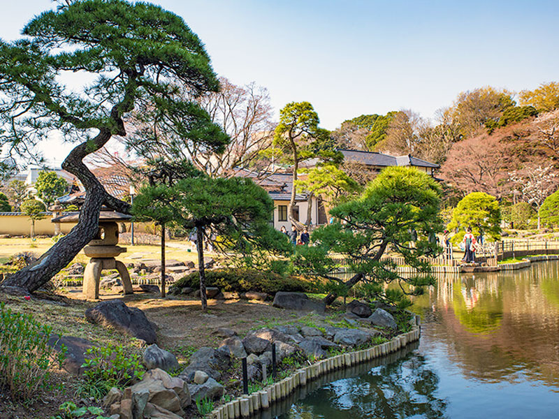 肥後細川庭園