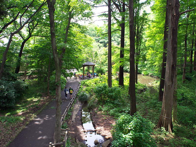 林試の森公園