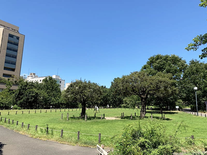 中目黒公園