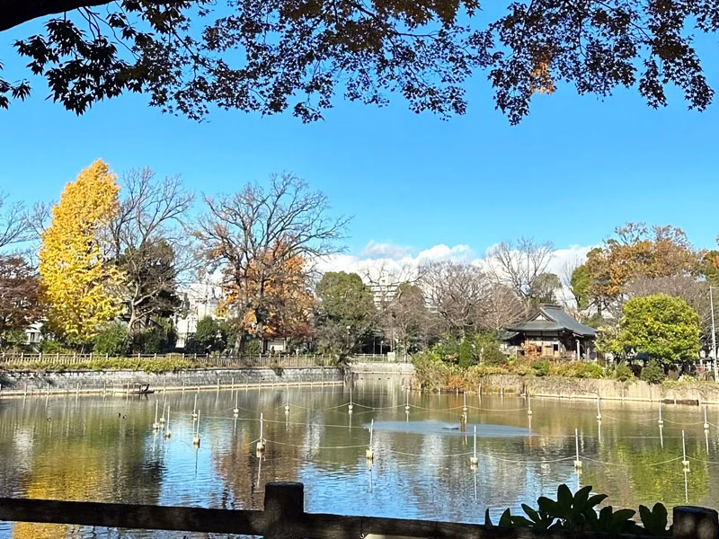 碑文谷公園