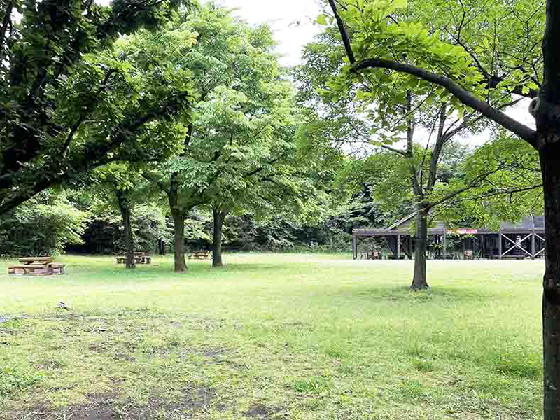 東京港野鳥公園