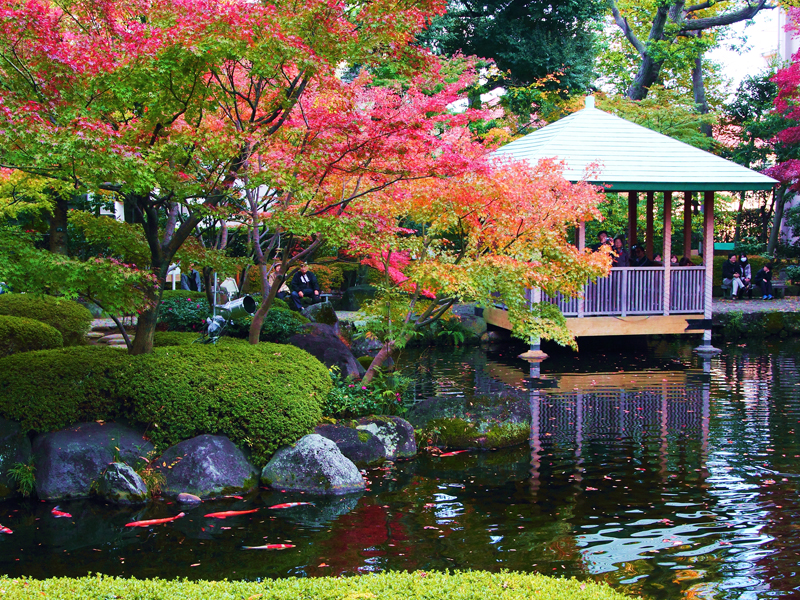 大田黒公園