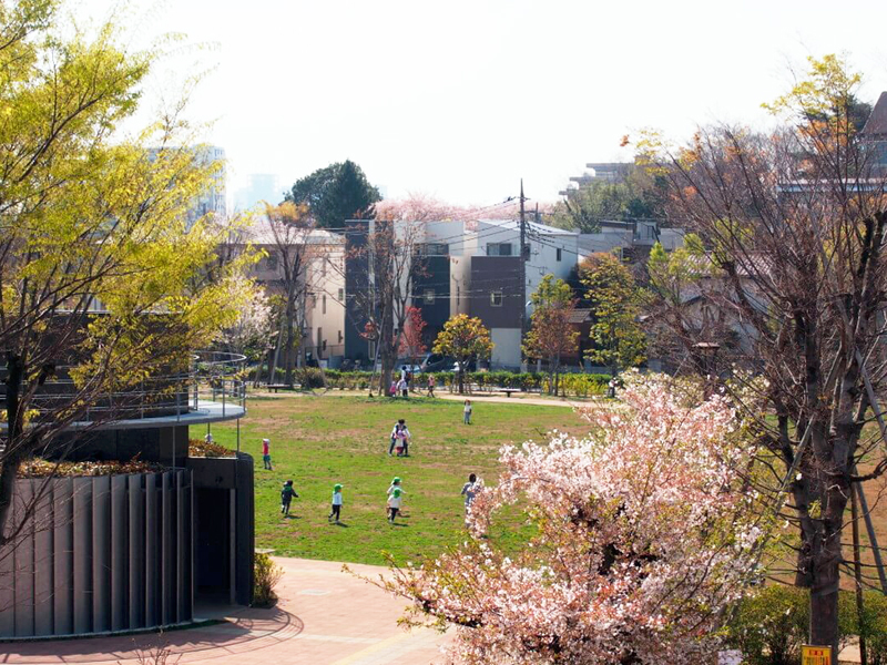 中村かしわ公園