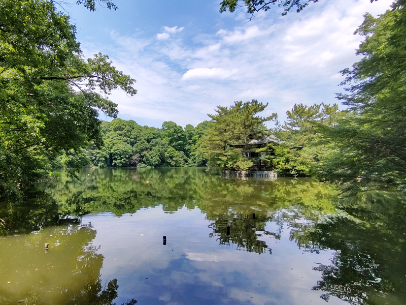 都立石神井公園