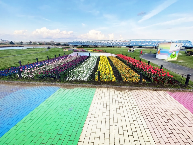 荒川右岸虹の広場