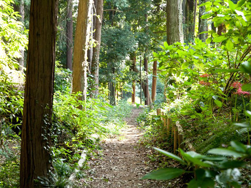 かしの木山自然公園