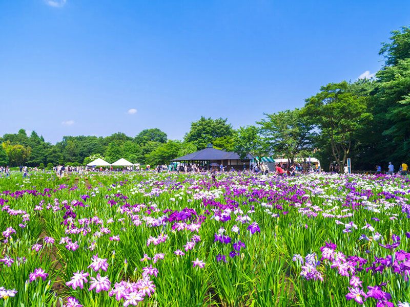 北山公園