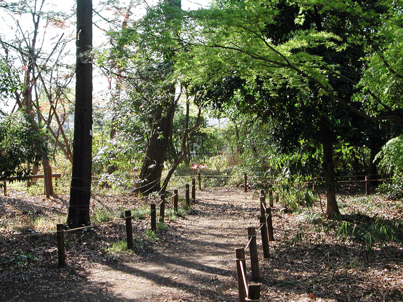 野川緑地公園