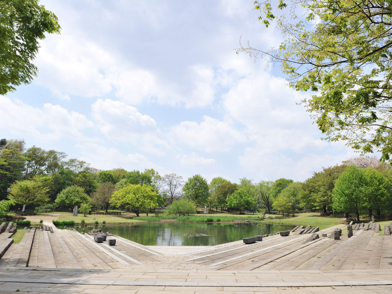 清瀬金山緑地公園