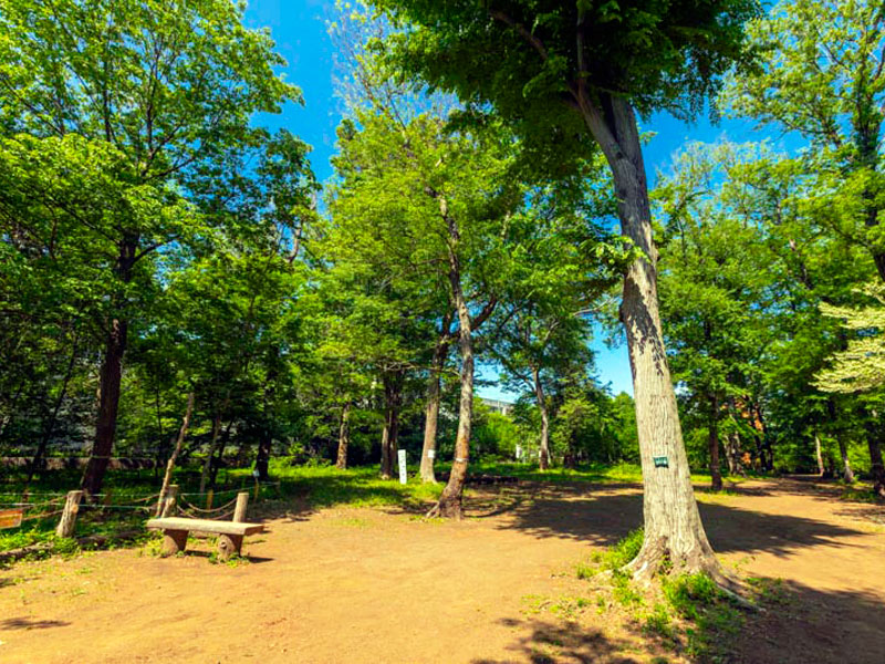 西原自然公園