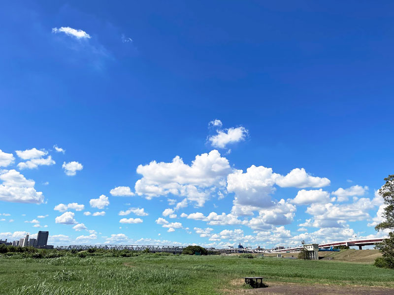 荒川小菅緑地公園