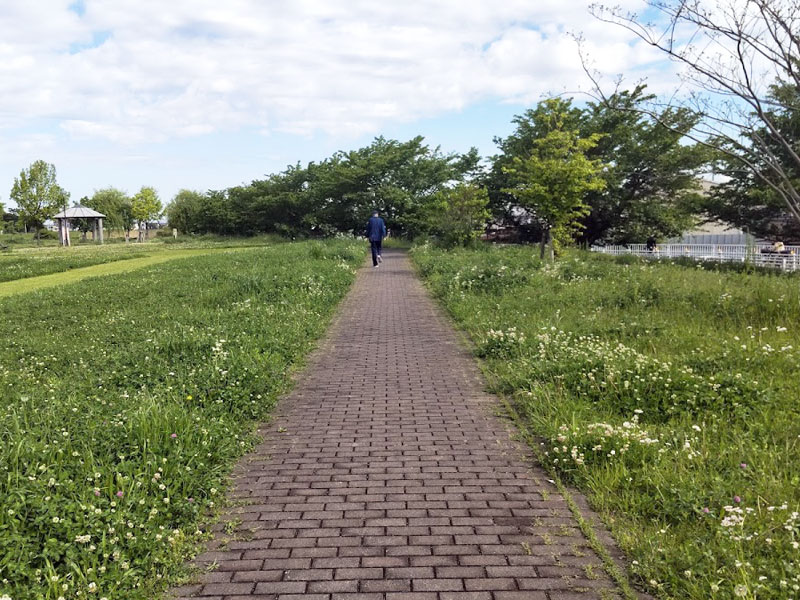 西水元水辺の公園