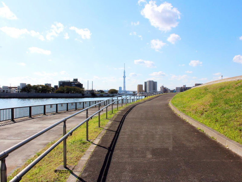 中川右岸緑道公園