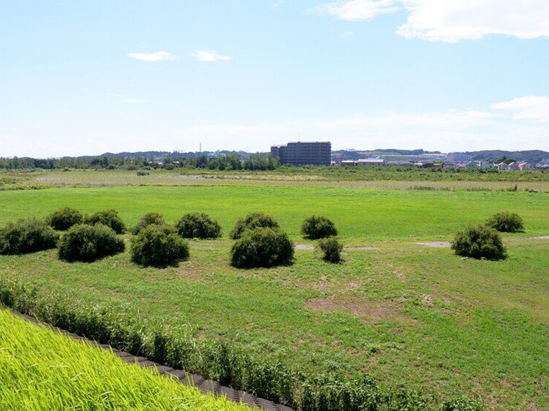 多摩川緑地