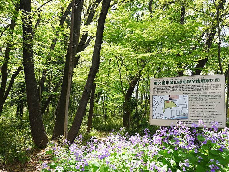 金山森の広場