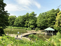 山崎公園