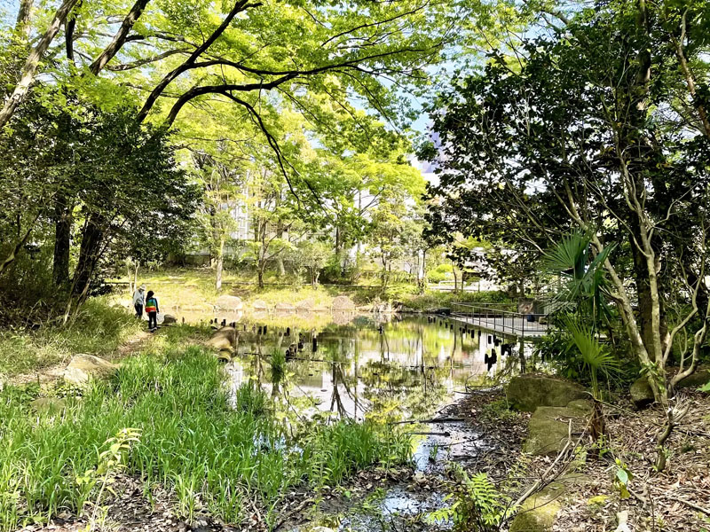 むじなが池公園