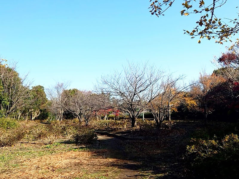 沓形公園