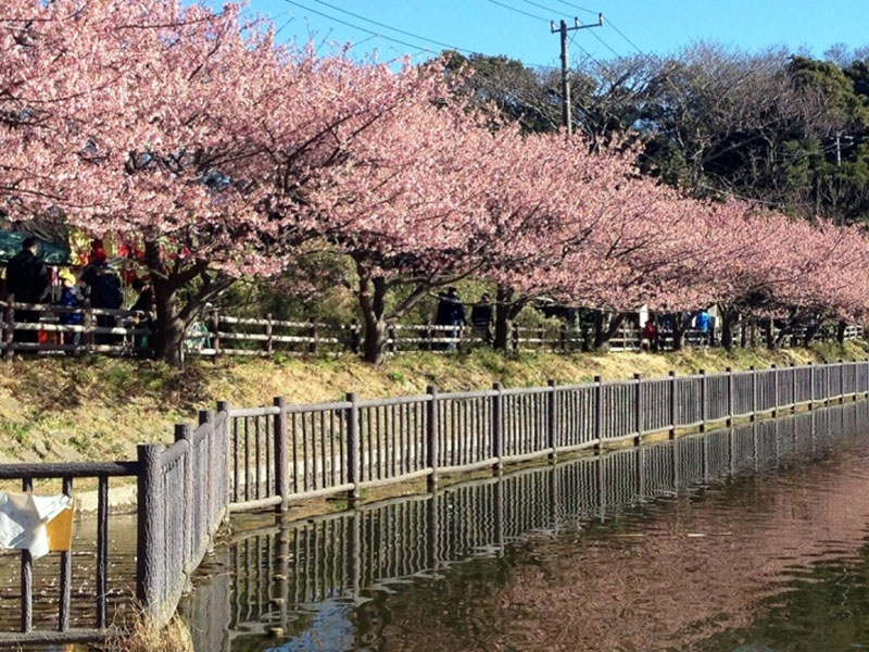 小松ヶ池公園