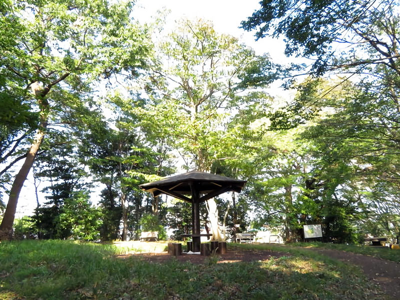 伊勢山自然公園