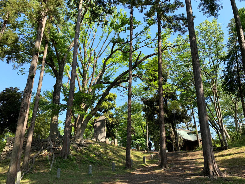 富士山公園