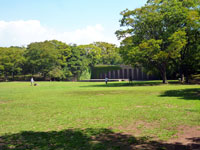 中央公園