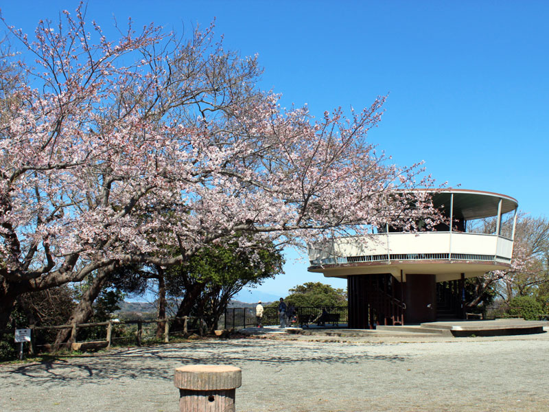 披露山公園