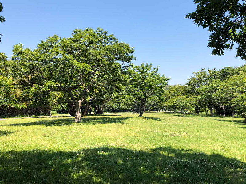 池子の森自然公園