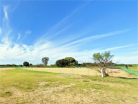 信濃川右岸運動公園