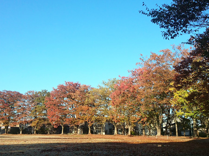 江陽公園