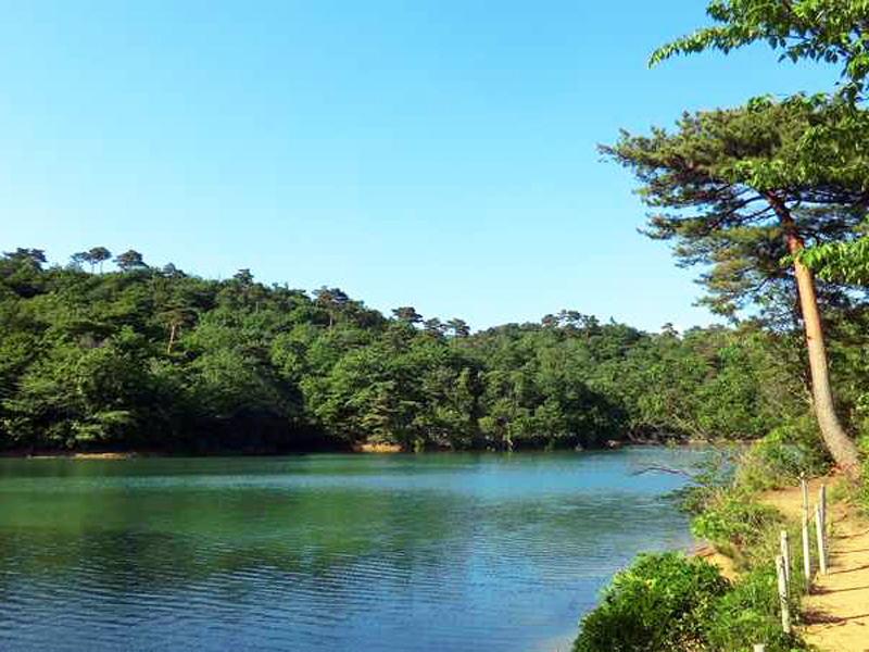 浦田の森森林公園