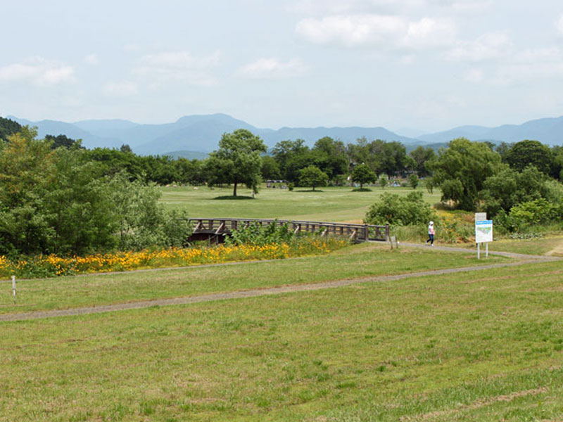 三面川中州公園