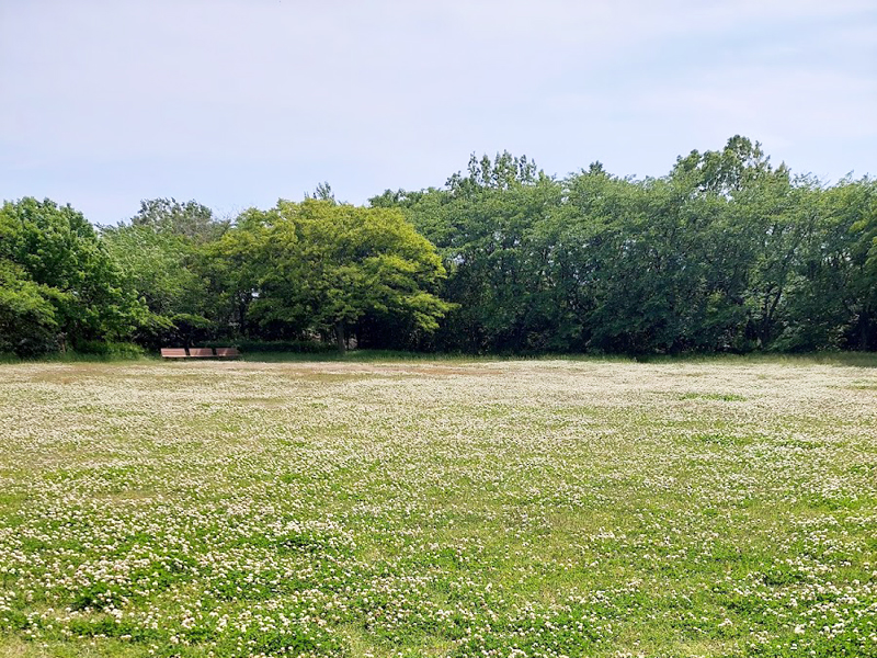 佐潟公園