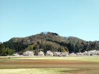 見附運動公園