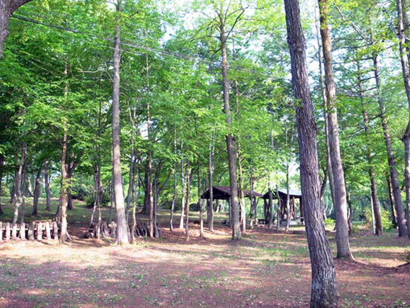 高床山森林公園