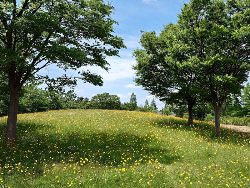 あがの池公園