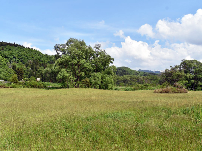 夏井河川公園