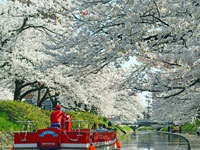 松川公園