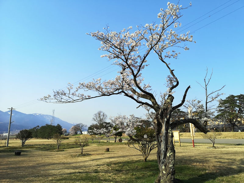 弁財天公園