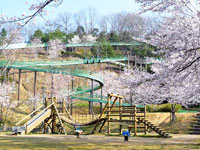 丸山総合公園