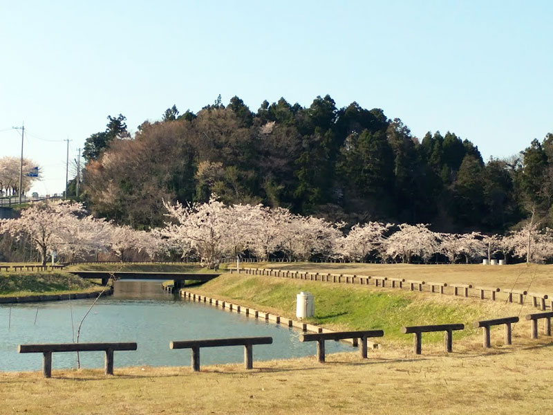 フラワーパーク鉢ヶ崎